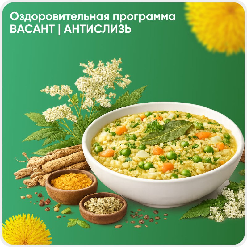 Друзья, я анонсирую свою первую программу "Вассант|Антисл...